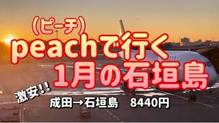 peach（ピーチ）で行く1月の石垣島 Vlog.86