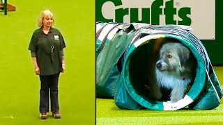 Ozzy Man Reviews: Kratu - The Goodest Boy Ever
