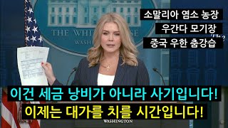 바이든정부의 충격적인 재정낭비에 분노한 트럼프 백악관 대변인 (영어표현)