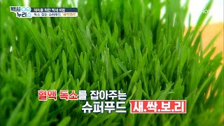 ‘새싹보리’ 알고 보면 영양 덩어리?! [백세누리쇼] 9회 20200205