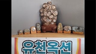 ☆ 유천옥션 ☆ 2월 7일 오후 7시 ~ 꽃돌경매, 나대로경매tv