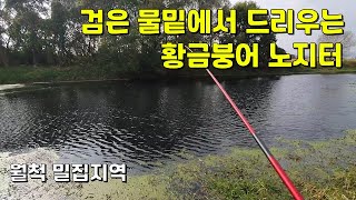 (주소공개) 물때깔에서 보여주는 대물붕어터 무료낚시터 최고의 둠벙포인트