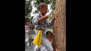 Shaolin Iron Zen Finger Training