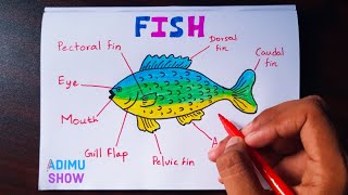 How  to draw and label a fish | step by step tutorial