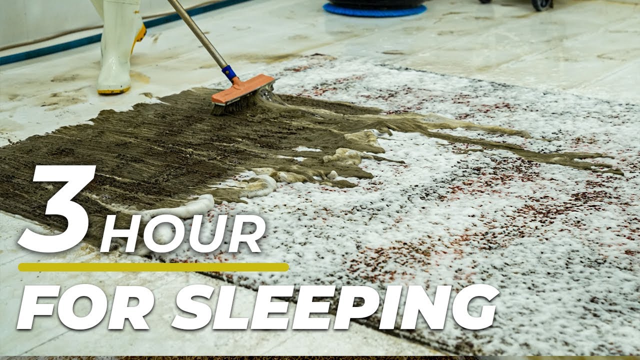3 Hour Carpet Cleaning Relaxing Asmr Carpet Cleaning For Perfect