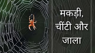 A spider is looking for a suitable place to make its web. motivational story