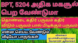 BPT. 5204 நெல் பயிர் தொண்டை கதிர் பருவம் பால் பிடிக்கும் நோய் மற்றும் பூச்சி கட்டுபடுத்தும் முறைகள்