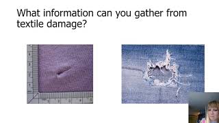 Expert Talks - Professor Claire Gwinnett - Textile Damage Investigation in Forensic Casework