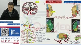 REPASO II - NEUROLOGÍA