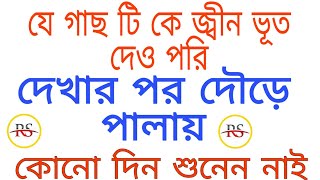 যে গাছ টি কে দেখার পর জ্বীন ভূত দেও পরি দৌড়ে পালায় /j Ghas t k dekhar por Jin vuth doure palay,