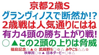 京都2歳ステークス2022予想　グランヴィノスで断然なのか！？ 2歳戦は人気通りにはならない？