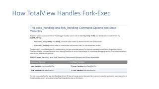 Debugging Fork Exec Programs With TotalView