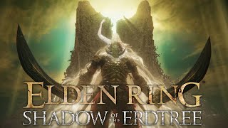 Elden Ring DLC - Helping Others Defeat The Final Boss (New Main Build?)