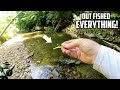 1 Bait -vs- 1 Angler TROUT FISHING Challenge! (First to a limit wins)