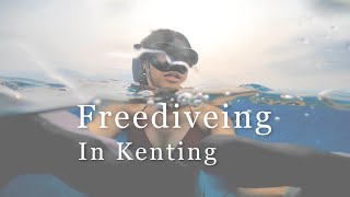 【墾丁】自由潛水｜Freedive｜萬里桐｜後壁湖｜小峇里島｜香蕉灣｜合界｜小丑魚｜尼莫