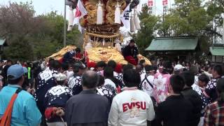 【高屋祭】明下太鼓の奉納２（H27）Japanese drum float Performance. 2015.4.12(6)