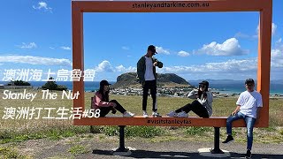 漂在海上的烏魯魯巨石｜Stanley The Nut｜澳洲打工生活#58｜