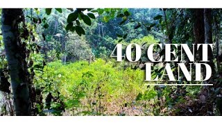 40 CENT LAND IN SHOOLAM NEAR MUVATTUPUZHA I 24 KERALA PROPERTIES I 193 th video