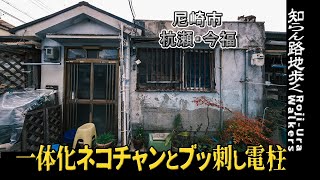 【尼崎】【ネコチャン】【杭瀬・今福】「一体化ネコチャンとブッ刺し電柱」