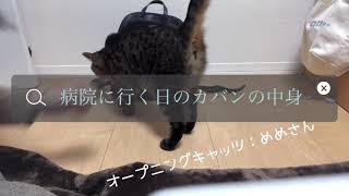 病院に行く日のカバンの中身