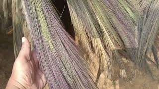 Assam Grass Broom best quality