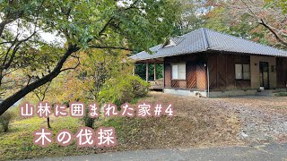 House surrounded by forest Pruning, felling, etc. #4