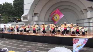 妃龍〔原宿表参道元氣祭スーパーよさこい2015　１日目代々木公園ステージ20150829〕