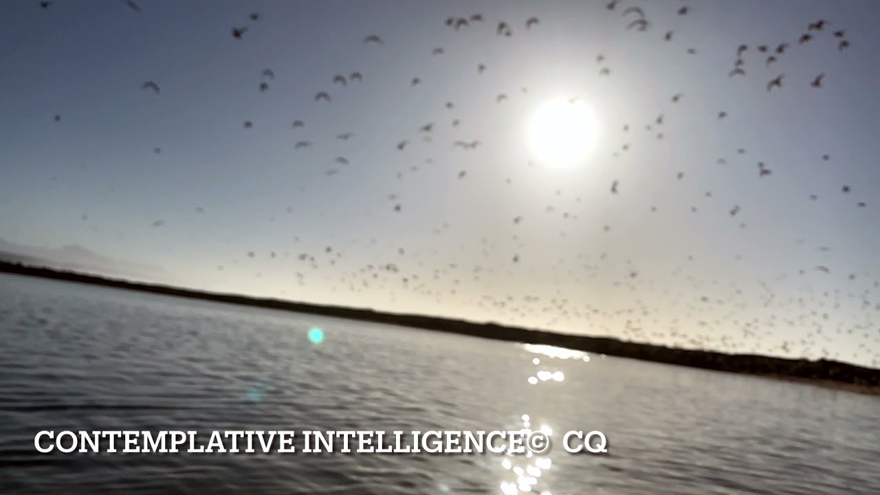 What is Contemplation? - Discover the meaning of Contemplation