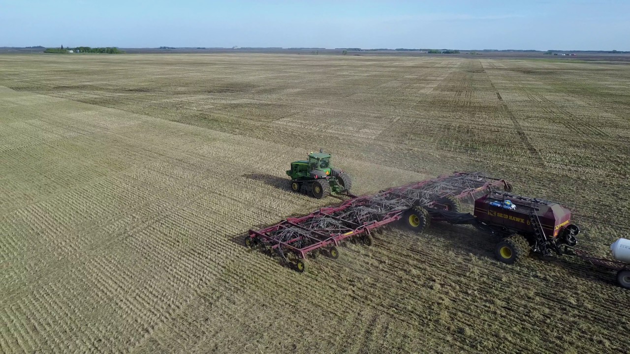 Seeding 2017 4k Youtube