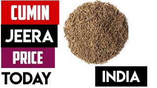 Cumin (Jeera) Spot Market Rates Today APMC UNJHA -INDIA 17 JULY 2024