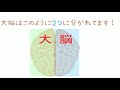 第３９回 美容師国家試験 解答と解説パート５