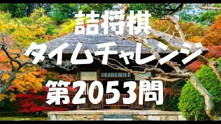 詰将棋タイムチャレンジ・第2053問