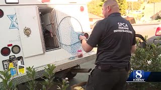 SPCA Monterey County preparing to assist with Palisades Fire in LA County