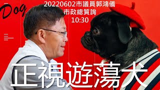 20220602郭鴻儀議員市政總質詢