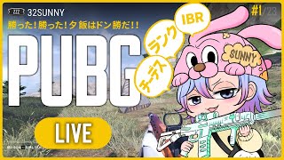 ⚡️️[JPN]20250202_PUBG配信！ランクかIBRかノーマル【PUBG PC版】