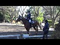 2016.12.17 第52回関東高等学校自馬競技大会 第3競技 馬場馬術競技l1課目 岡村卓将 デネブ号