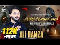 Nai Jiyundiyan O Mawan (نئی جیوندیاں اہ ماواں) | Ali Hamza | Noha | 2023/1445