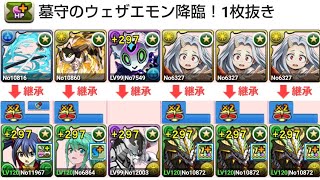 [パズドラ]墓守のウェザエモン降臨！１枚抜きノルディス編成