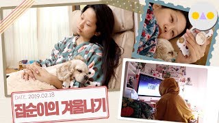 {보통날} 집순이의 얼마 남지 않은 겨울나기 WITH 이니스프리