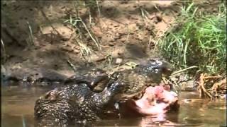 Muggers Of Spice Island / Quest For The Mugger Crocodile