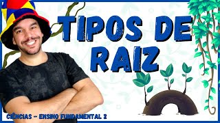 TIPOS DE RAÍZES | 8 Tipos diferentes | Ciência e Botânica | Aula completa - 2021🌿