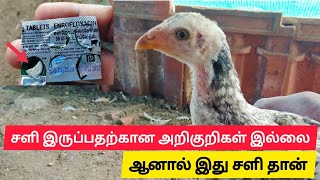 கோழிகளுக்கு சளியின் ஆரம்ப நிலை // beginning stage of cold for chicken 👍