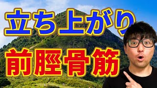 【理学療法士　立ち上がり】立ち上がりは前脛骨筋が大切