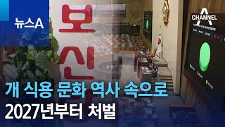 개 식용 문화 역사 속으로…2027년부터 처벌 | 뉴스A