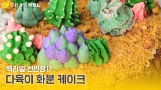 [레시피] 핵리얼 선인장?! 다육이 화분 케이크🌵 | 씨채널 푸드