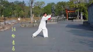 武当丹剑 （带剑谱）Wudang Dan Jian   Dai Jian