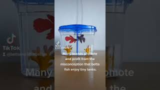 Betta bowl kits 1 gal and under create unhealthy conditions for fish!