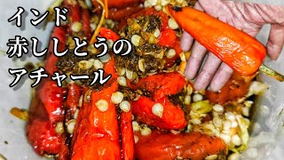 ししとう アチャール インド料理【インドVLOG】シシトウのピクルスは中身を味わう