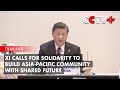Xi Calls for Solidarity to Build Asia-Pacific Community with Shared Future