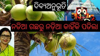 Anubhutire Jagannath || ଗଛରୁ ନଡ଼ିଆ କାହିଁକି ପଡିଲା || Ep--78